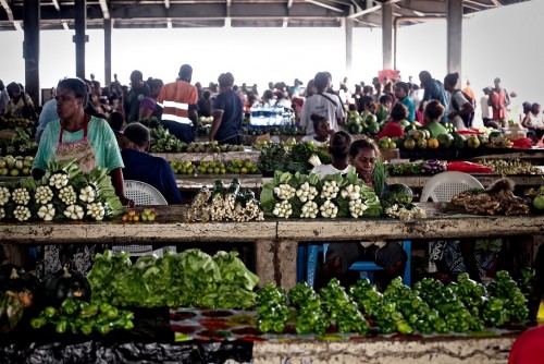 Social Protection and Social Development