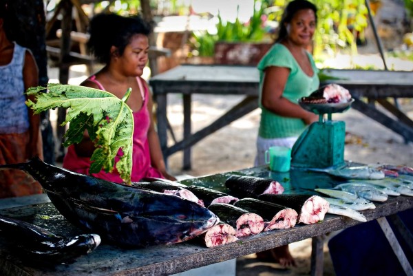 Social Protection and Social Development Policy and Strategy